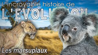 Les marsupiaux  Évolution  Paléontologie  Simplex Paléo [upl. by Itnahsa]