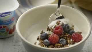 MIMOSA L  GRANOLA COM IOGURTE [upl. by Nealon]