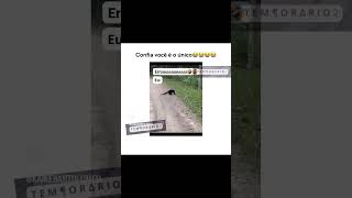 Da onde tu achou q ia dar macaco 🫡 memes viralvideos fypシ゚viral foryou viralshorts [upl. by Atekal453]