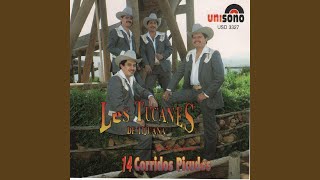 Los Tucanes De Tijuana  El Cris [upl. by Leruj78]