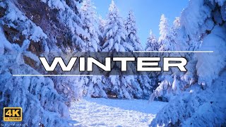 ❄️ Winter Nature amp Relaxing Music  Snow and Ice in 4K ❄️ [upl. by Nicks]