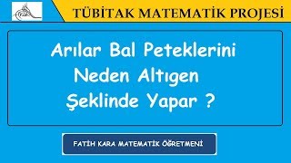 Arılar Bal Peteklerini Neden Altıgen Şeklinde Yapar [upl. by Florette949]