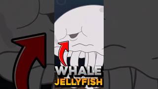 Every Jellyfish In Spongebob Part 3 [upl. by Nallak]