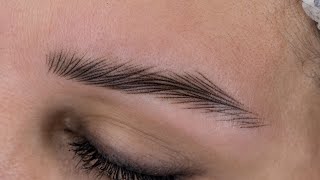 Eyebrow Design with BB COMPASS [upl. by Darren]