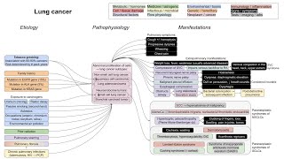 Lung cancer mechanism of disease [upl. by Miko]