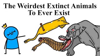 Top 10 Extinct Animals You Wont Believe Existed [upl. by Labanna]