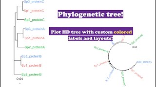 Plot a custom colored phylogenetic tree R for biologists  ggtree  learn by solving [upl. by Cerelly]