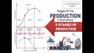 Lecture 2 Three stages of Production productioneconomicsAPPMPPTPPelasticity [upl. by Herbie]