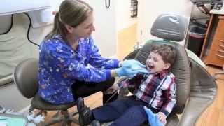 quotA Childs Visit to the Dentistquot Dr Amy Ala [upl. by Jolanta171]