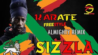 Almighty Remix Sizzla’s Little Lions Karate Dubplate Freestyle [upl. by Ellerehs40]