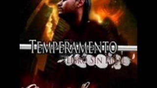 temperamento hermano mayor [upl. by Avrit]