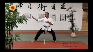 Déplacements en Kokutsu dachi [upl. by Slack]