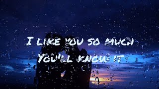 I like you so much youll know it LYRICS [upl. by Morly]