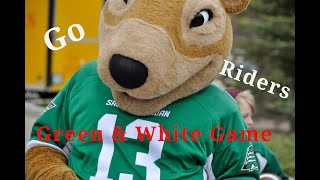 Saskatchewan Roughriders Green amp White Game thesskroughriders [upl. by Cioffred]