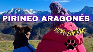 🏔❄Pirineo aragonés con perro❄🏔AÍNSA 🏘 [upl. by Rydder]