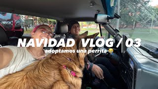 Nuevo integrante de LA FAMILIA 😭 Vlog NAVIDAD 03 [upl. by Aivart]