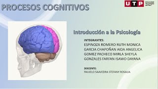 Procesos Cognitivos [upl. by Niarb]