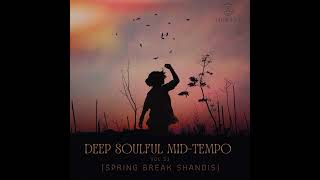 Deep Soulful MidTempo Vol 23 Mixed By Dj LukC SA Spring Break Shandis 1st September 2023 [upl. by Teryl]