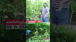 Goat Farm Green Feed vivasayaarvalargal shorts [upl. by Handal328]