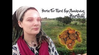 Herb for Third Eye Awakening Haritaki [upl. by Anilave]