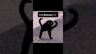 Im Batman 🦇 cat edit meme capcut [upl. by Arretahs]