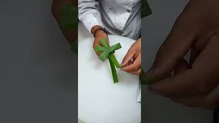 Cut The Green Onions Into Beautiful Flower Arrangements So Elegantfruitcutting knifeskills [upl. by Orsa]