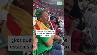 ¿Por qué hace frío en los estadios de Qatar si están a 32 grados shorts VideosEC [upl. by Black]