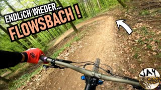 FLOWTRAIL MOSBACH endlich wieder Flowsbach 🤩  First Ride 2023  Mountainbike MTB Enduro [upl. by Lleznol]