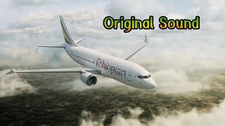 Ethiopian Airlines Flight 302  Original Sound [upl. by Piggy]