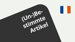 Les articles  Französisch  Grammatik [upl. by Larine]