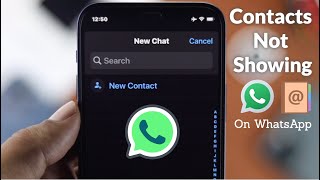 How To Import Google Contacts to iPhone  Import Contacts From Gmail to iPhone [upl. by Oglesby816]