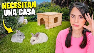 Ahora Hay Que Pensar en una Casa para los Conejitos 🔥 Sandra Cires Vlog [upl. by Siravrat]