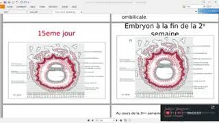 Embryologie  3 semaine  partie 1 [upl. by Reede]