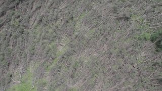 Lowell anticyclonic tornado damage from drone [upl. by Adnof]