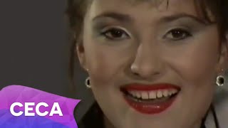 Ceca  Sve u svoje vreme  Official Video 1990 [upl. by Terrej]