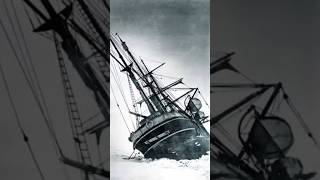 Endurance  SirErnestShackleton ship antarctica 1912 endurance shorts short viralvideo trend [upl. by Tullius346]