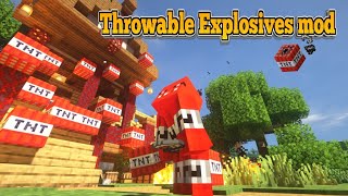 Minecraft 1165  Throwable Explosives mod [upl. by Pincince397]