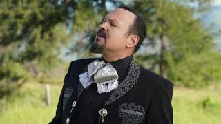 Perdóname Pepe Aguilar ft Carin León En vivo [upl. by Rucker]