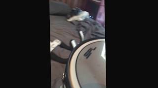 Tuning and playing my SPL marching snare [upl. by Lahsram788]