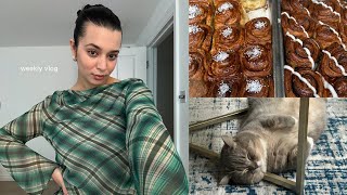 weekly vlog  cats are here ramadan away from home figuring out work [upl. by Bradney]