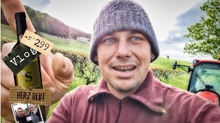 Sch WETTER  mit Herzblut zum Wein Vlog 299 [upl. by Ordway]