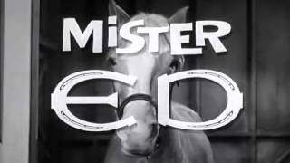 hello Im Mr Ed [upl. by Rhett]