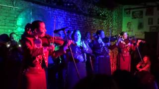 Mariachi Las Altenas SXSW 2014 Sweet Child of Mine [upl. by Diahann754]