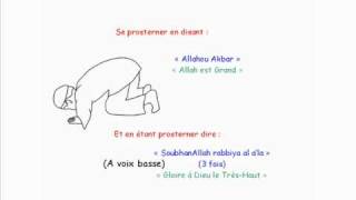 Apprendre La Prière Salat El Dohr  2ème prière de la journée [upl. by Herahab]