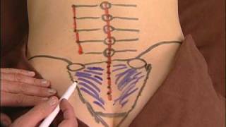 Anatomy Drawing of the Sacroiliac Ligaments [upl. by Annayek]