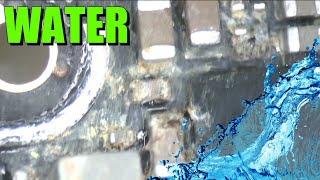 Xiaomi Redmi Water Damage When Is It Worth Fixing [upl. by Ametaf168]