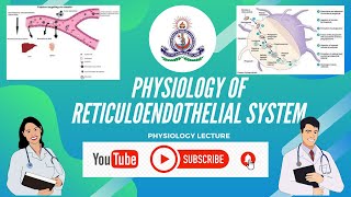 PHYSIOLOGY OF RETICULOENDOTHELIAL SYSTEM [upl. by Janella]