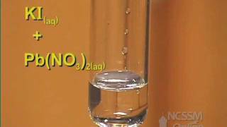 Double Displacement Lead Nitrate and Potassium Iodide [upl. by Madelle]