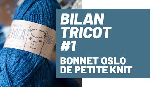 BILAN TRICOT 1  Bonnet Oslo de Petite Knit mohair edition [upl. by Nwaf]