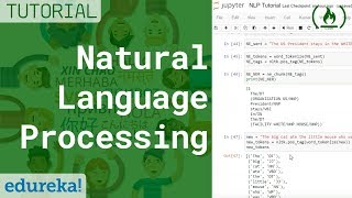 Natural Language Processing NLP Tutorial with Python amp NLTK [upl. by Akenahc]